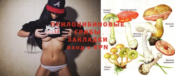 тгк Абдулино