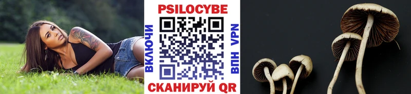 Псилоцибиновые грибы Cubensis  Сурск 
